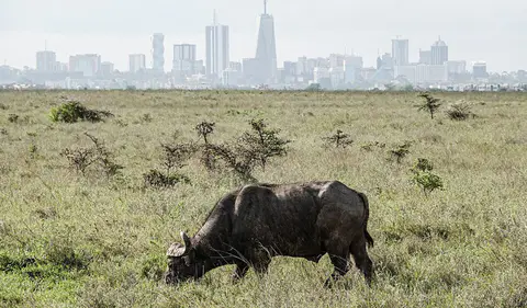 Nairobi, Kenya