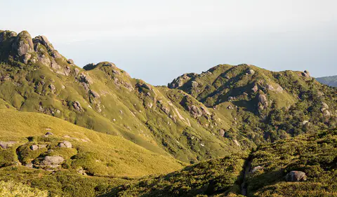 Yakushima, Japan